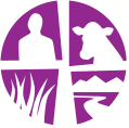 quincea_purple-icon