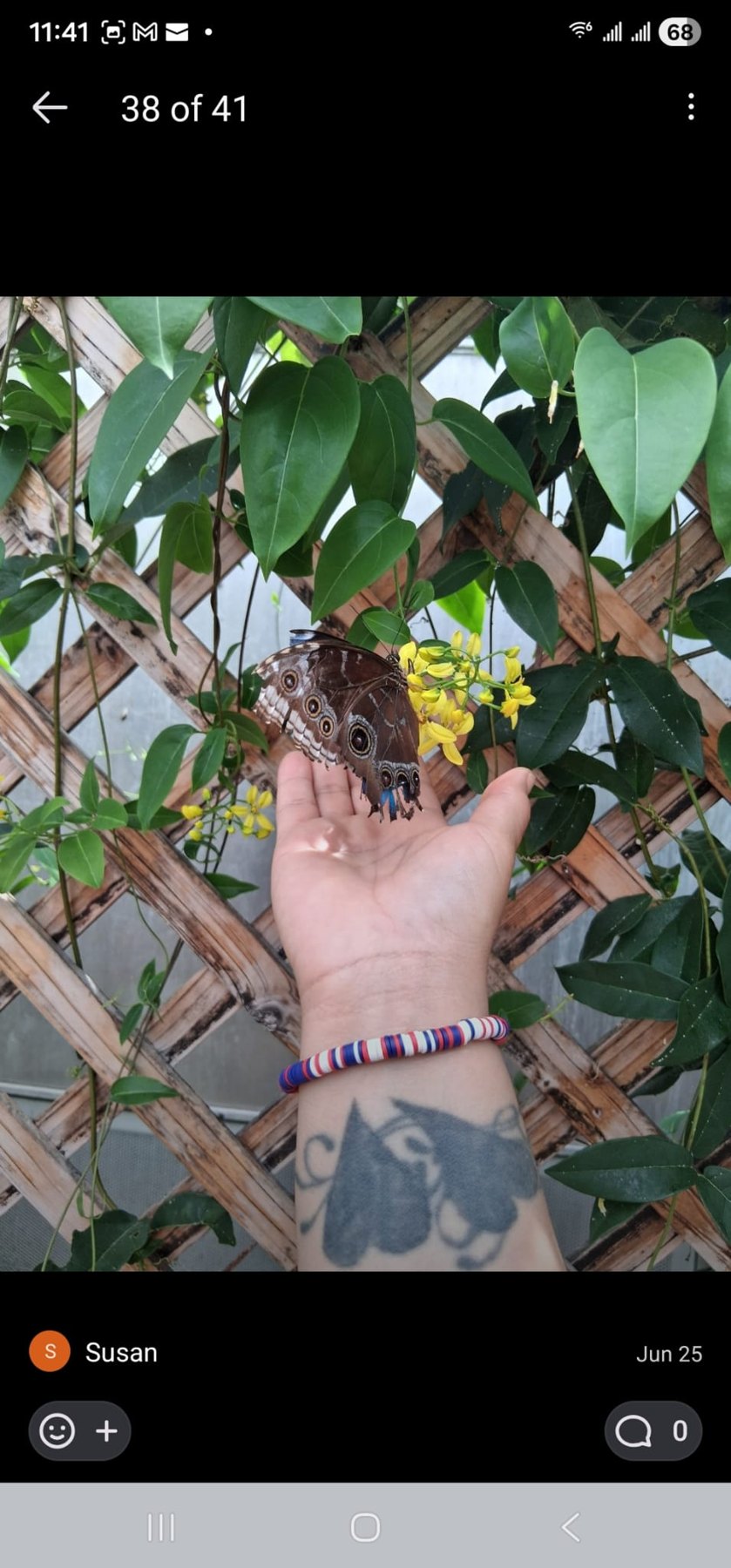 A butterfly resting on a hand