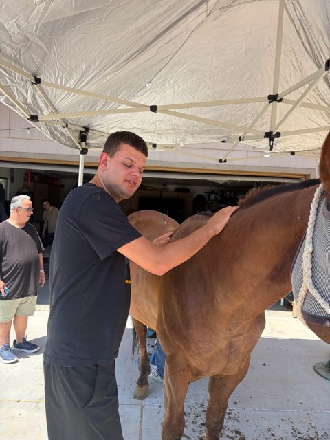 Getting to know a horse