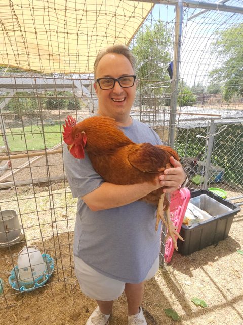 Holding a chicken at the farm