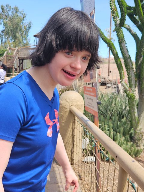 A sunny day at the animal exhibits