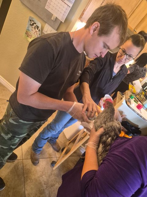 Meeting a small animal up close
