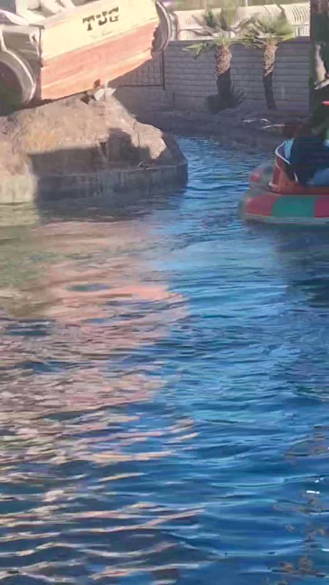 Time in the pool