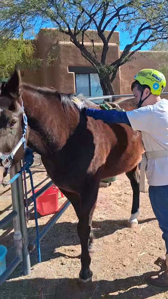 A horseback outing