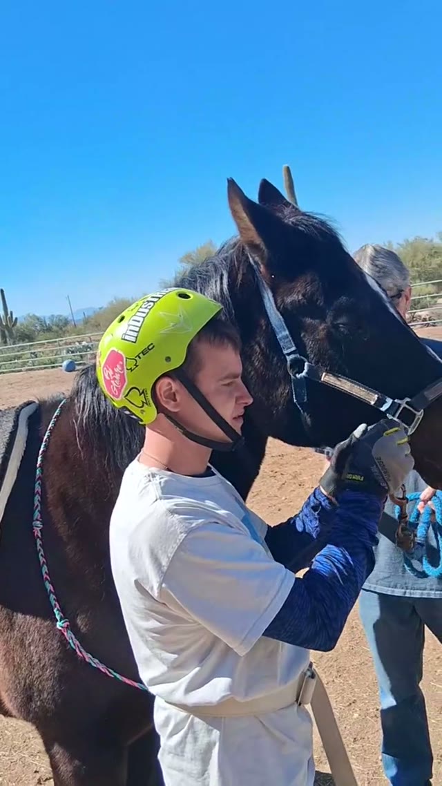 Greeting a horse up close