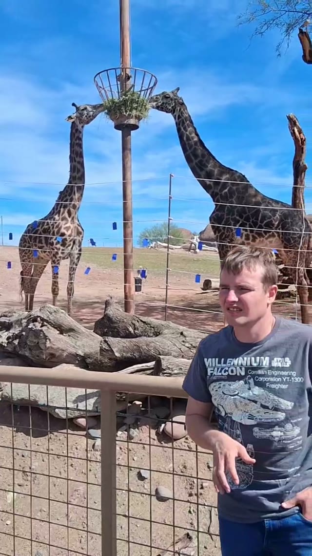 Visiting the giraffes