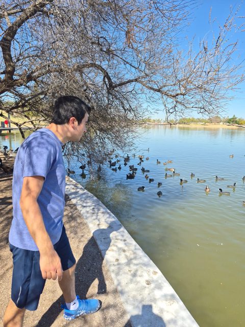 Watching birds beside the pond
