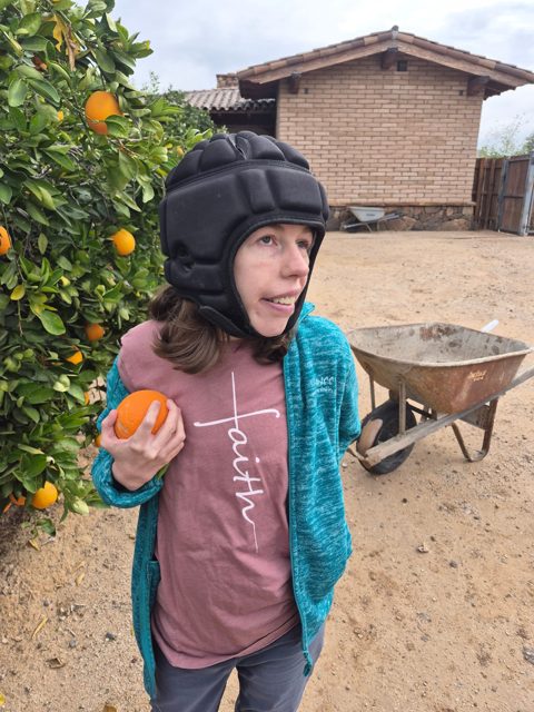Showing a freshly picked orange