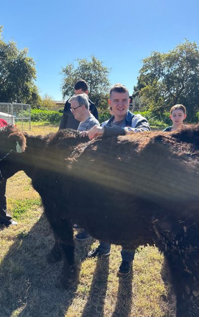 Meeting a large farm animal